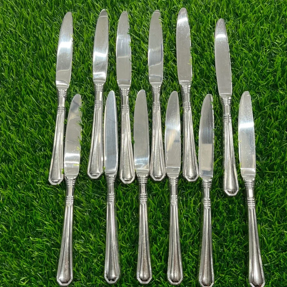 Pfaltzgraff Providence Stainless Steel Dinner Knives Set of 12 Silverware 9.25in